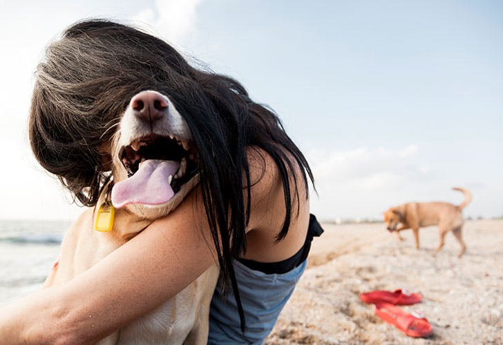 dog-girl-hugging-beach