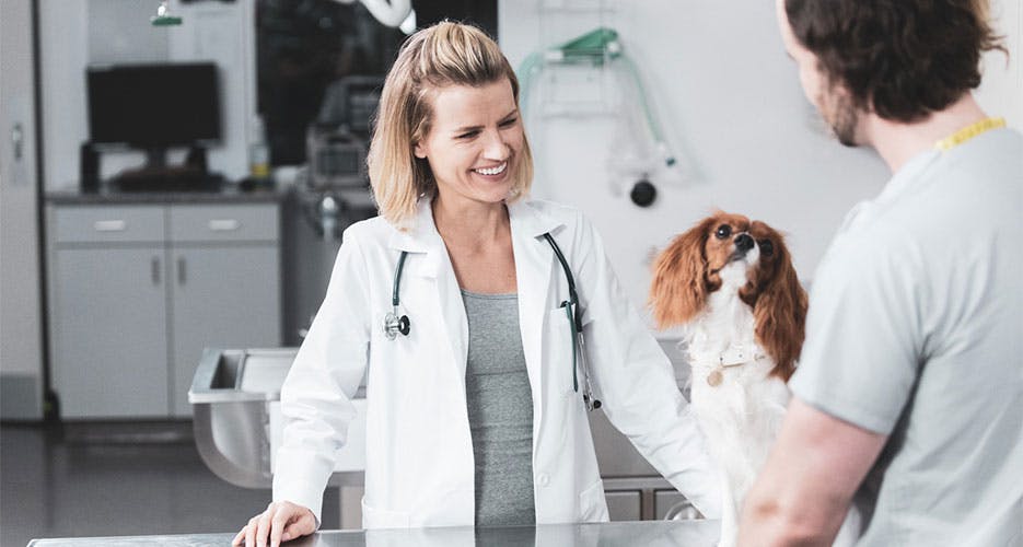 vet-and-tech-with-dog