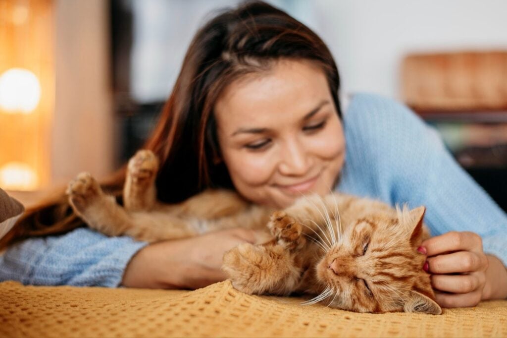 Woman gently petting a relaxed cat