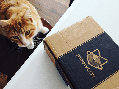 meowbox