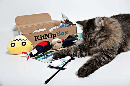 kitnip box