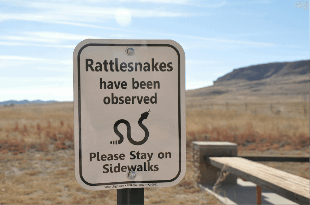 Warning sign that reads "Rattlesnakes have been observed. Please Stay on Sidewalks.”