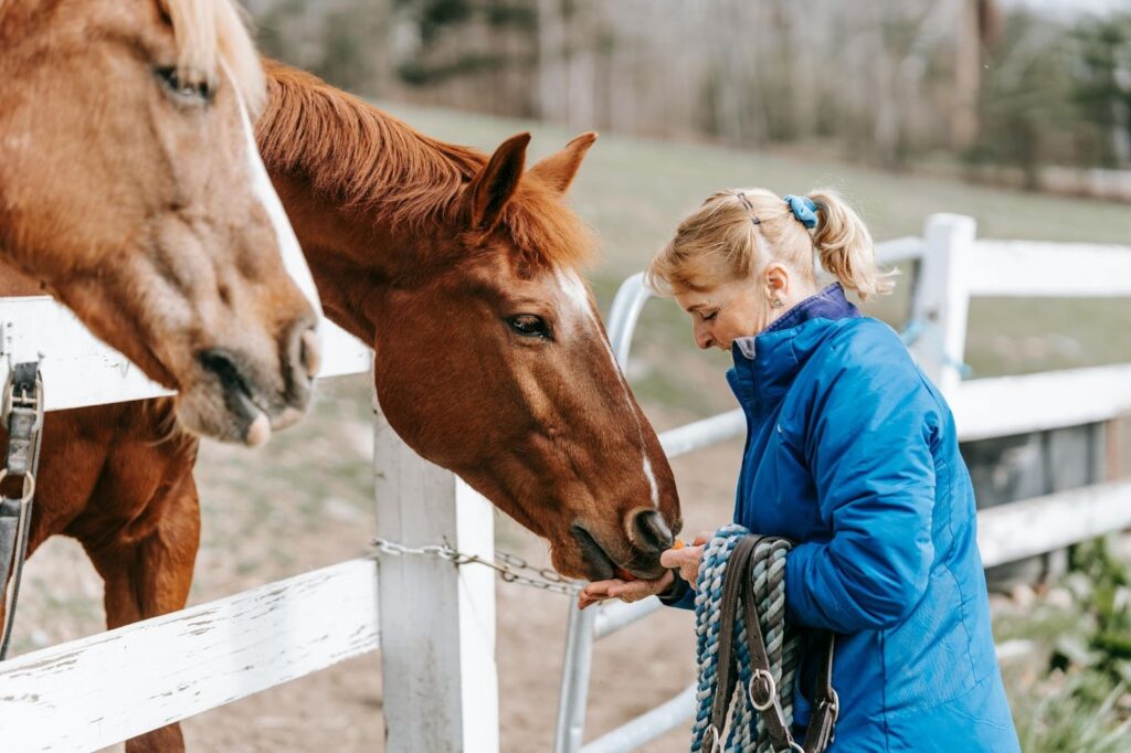 Woman feeding a brown horse