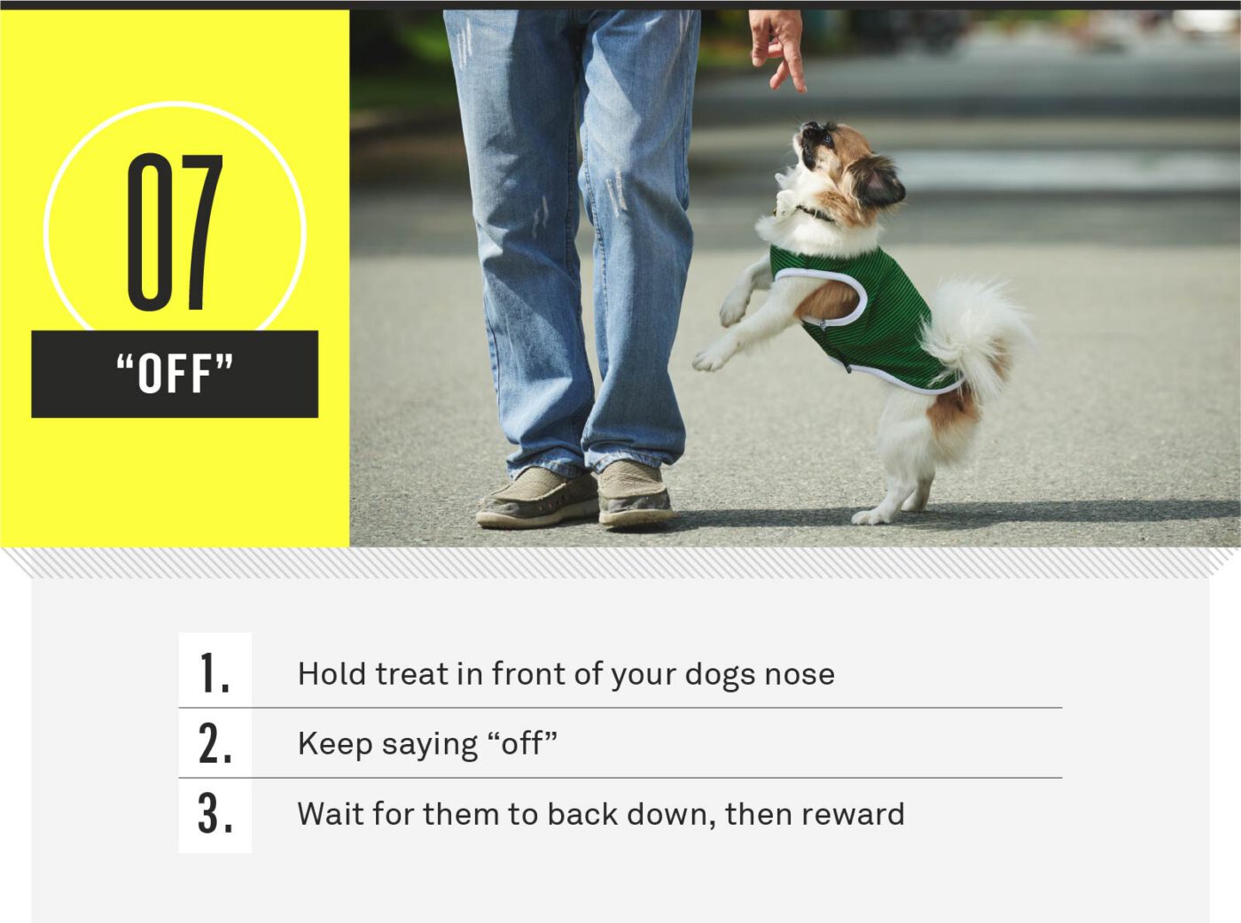 dog commands - off