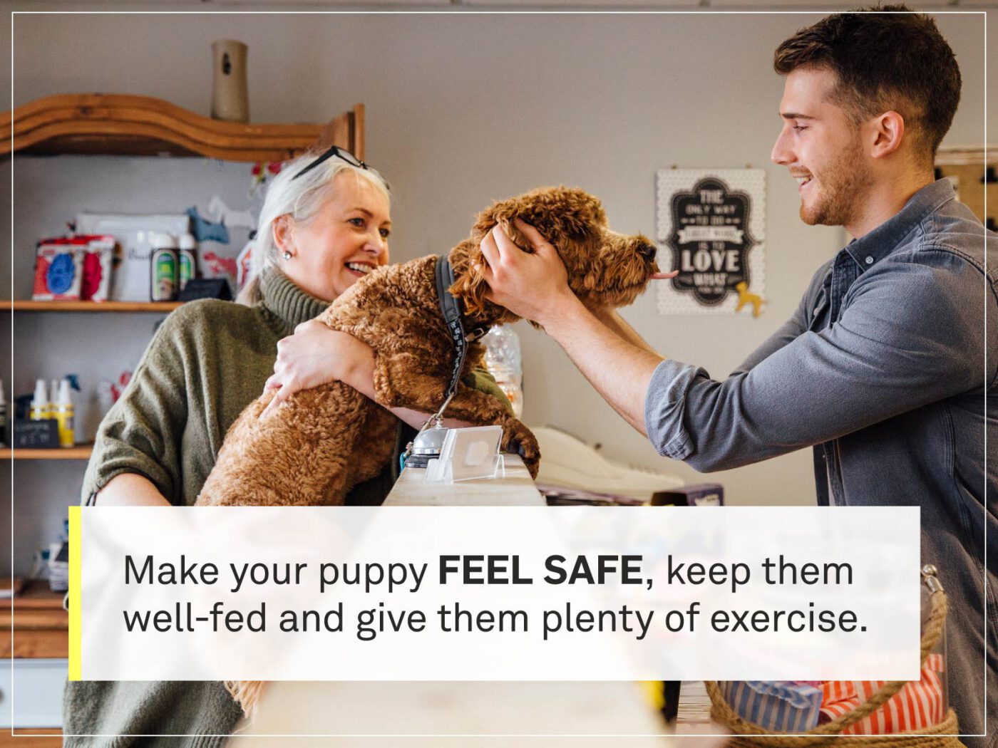 new puppy checklist 1-pet-store