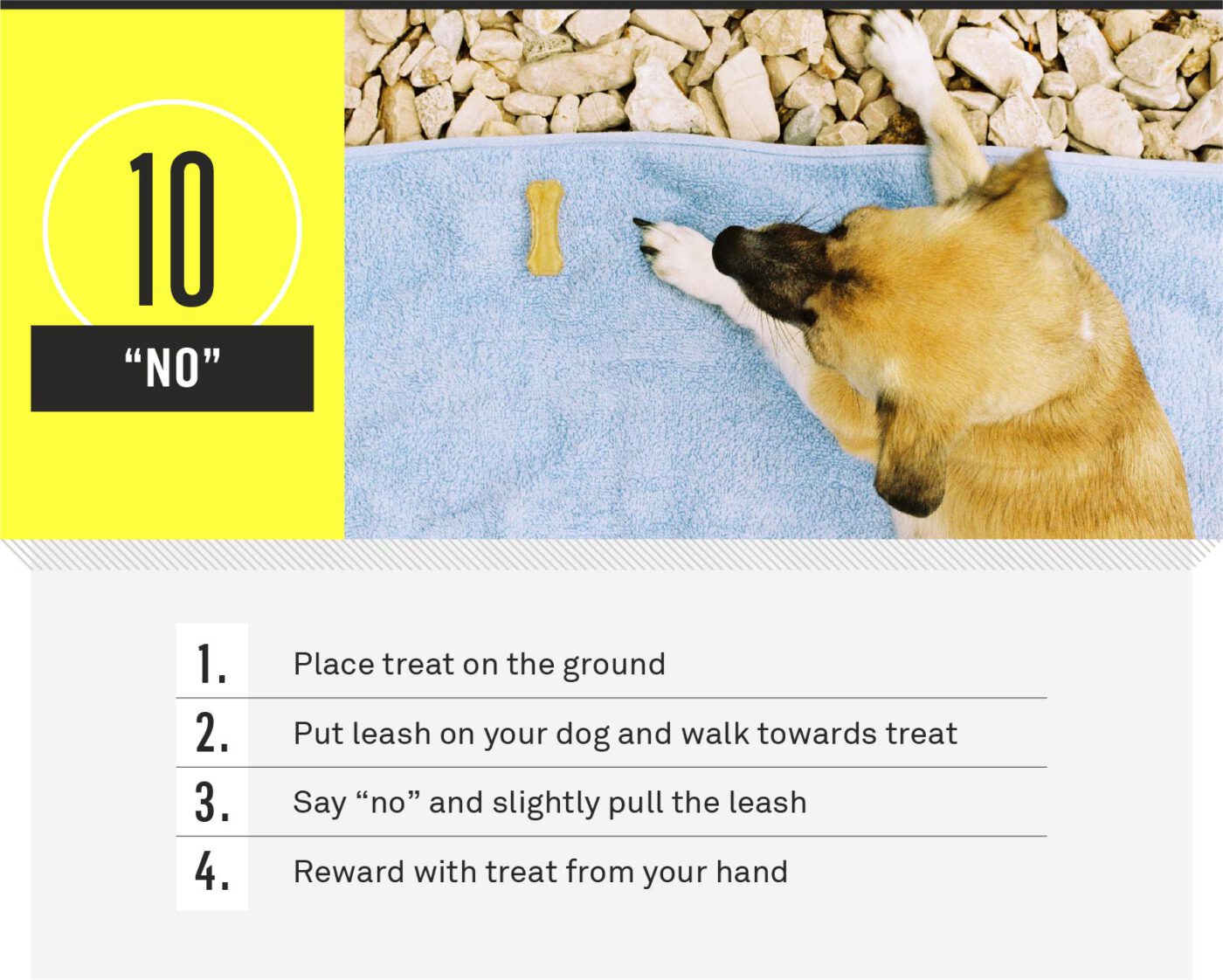 dog commands - no