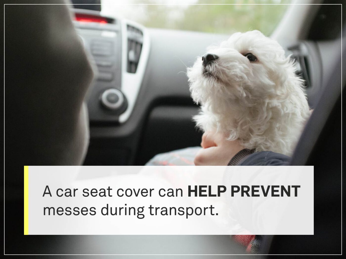 new puppy checklist 11-puppy-car