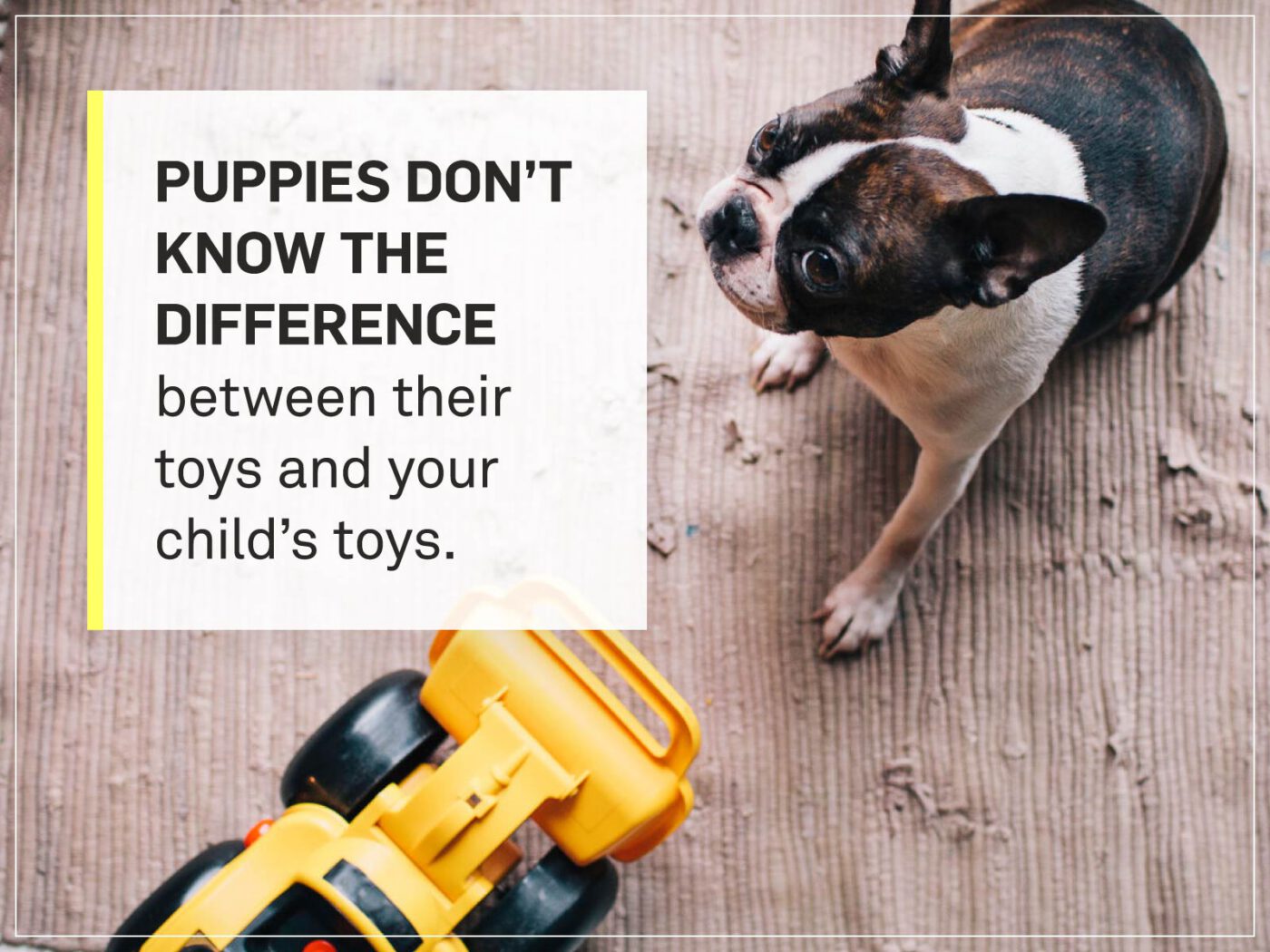 new puppy checklist 15-childrens-toys