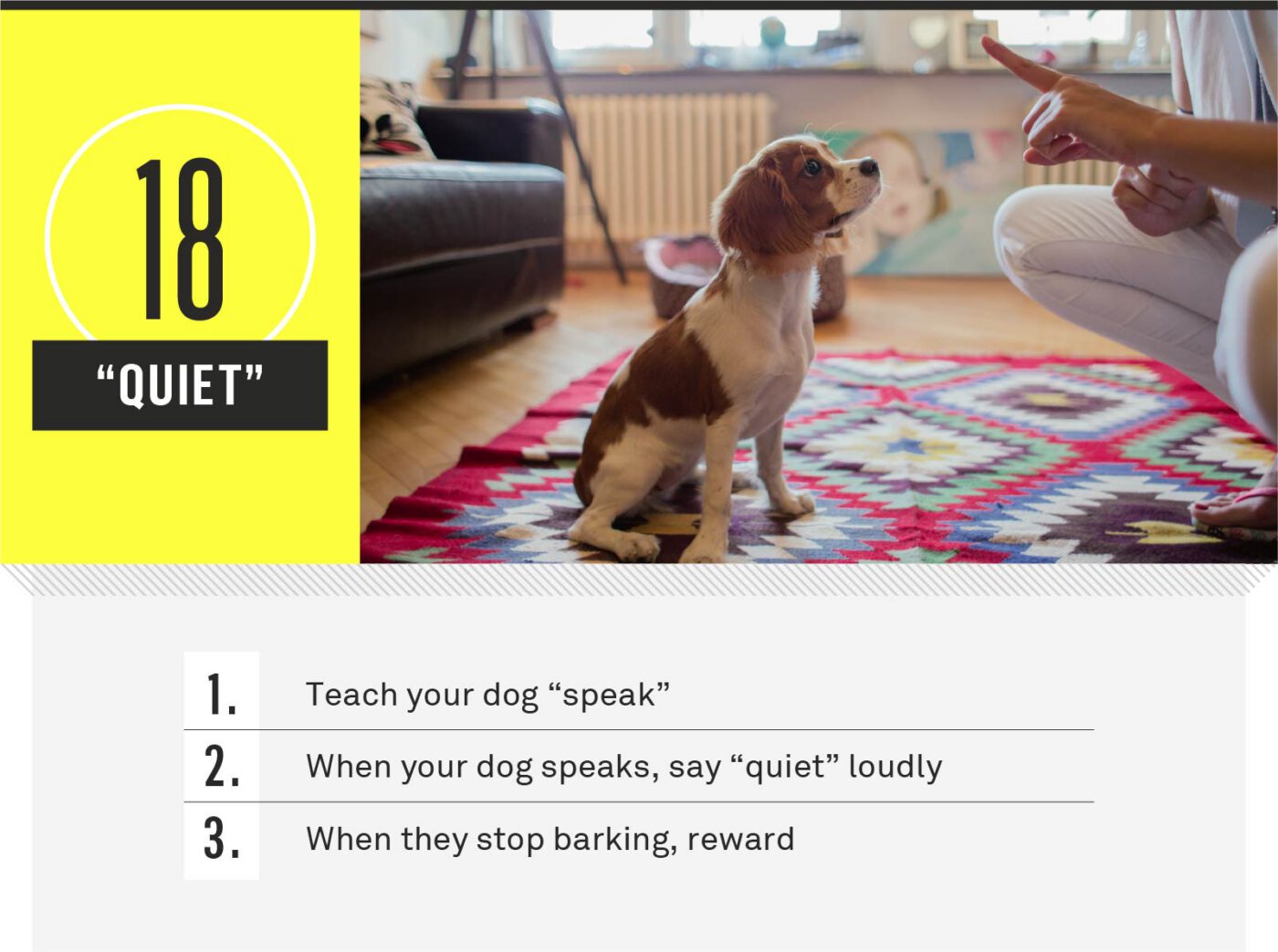 dog commands - quiet