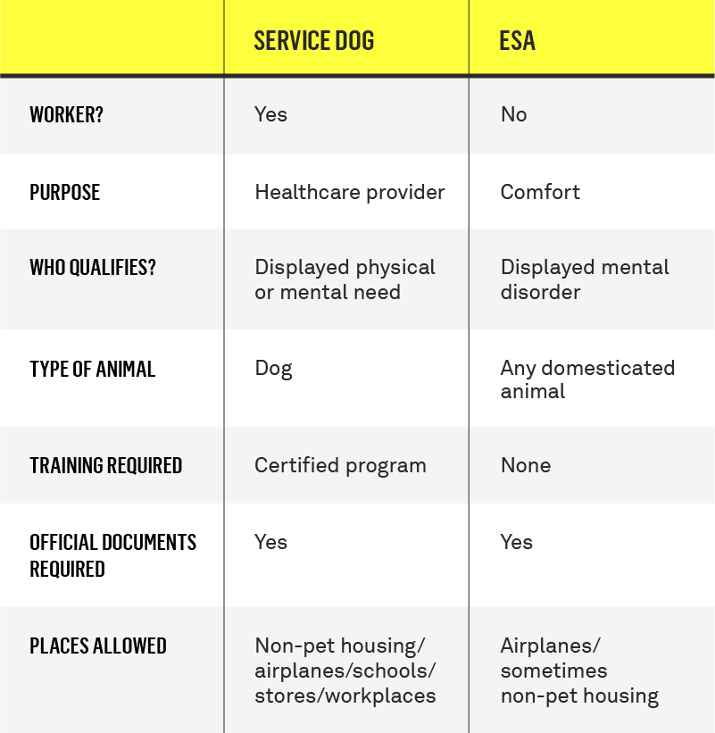 service dog vs emotional support animal