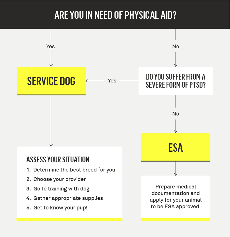 do you need a service dog