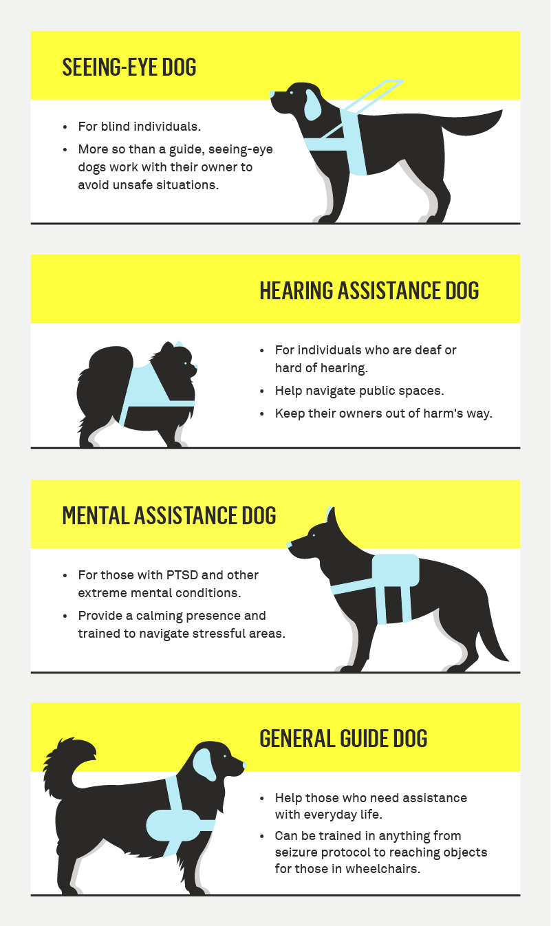 types of service dogs