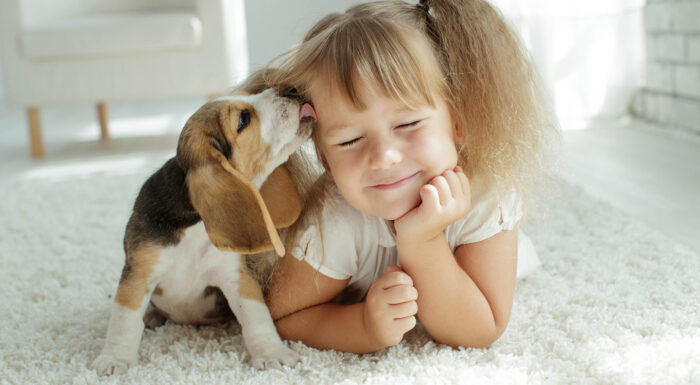 Gallant_PuppyEssentials