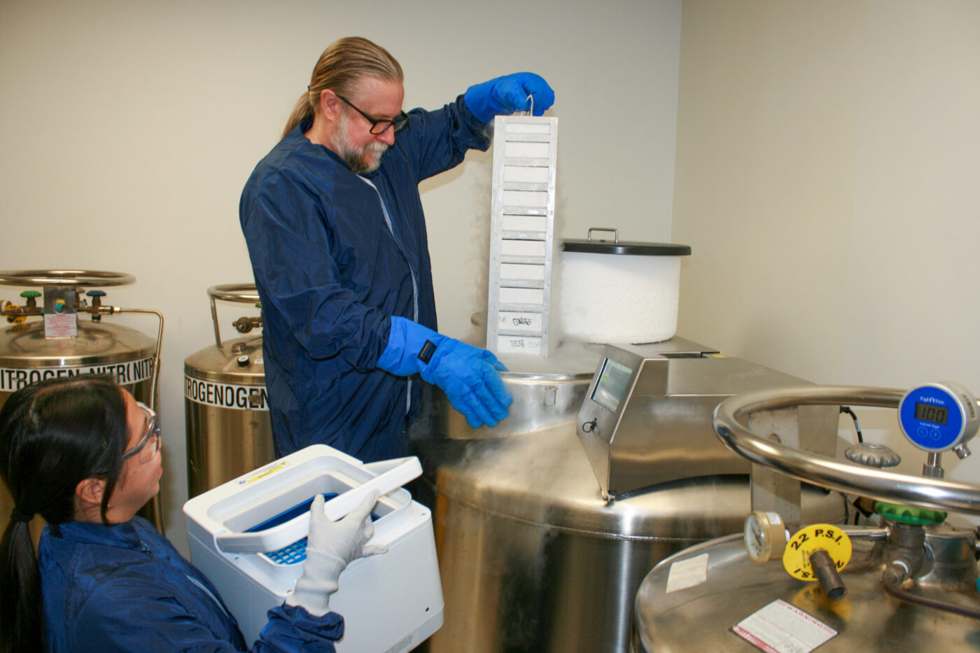 Two laboratory technicians in protective gear handle a cryogenic storage unit