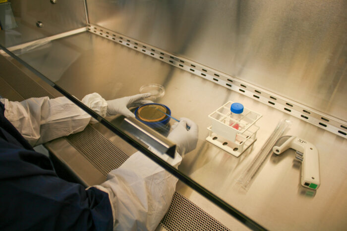 A laboratory technician in protective gear works under a sterile biosafety cabinet
