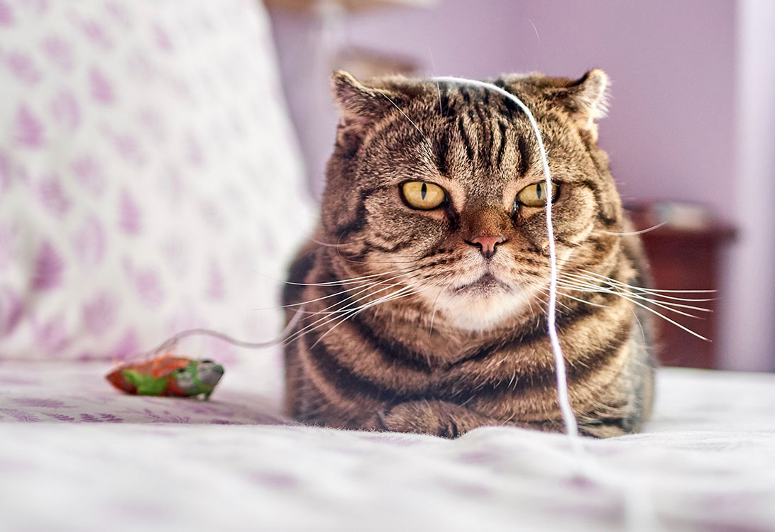String