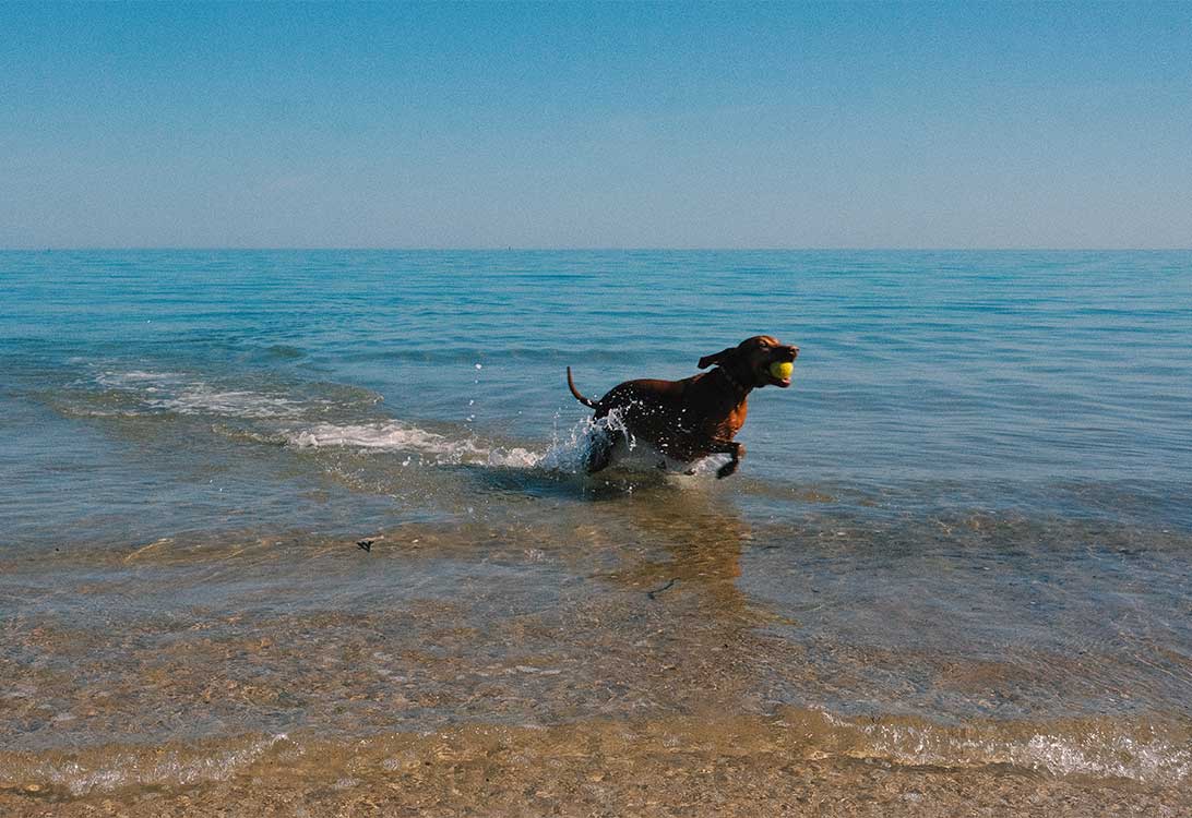 beach