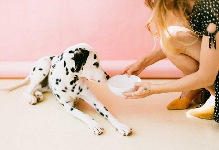 dog-bowl