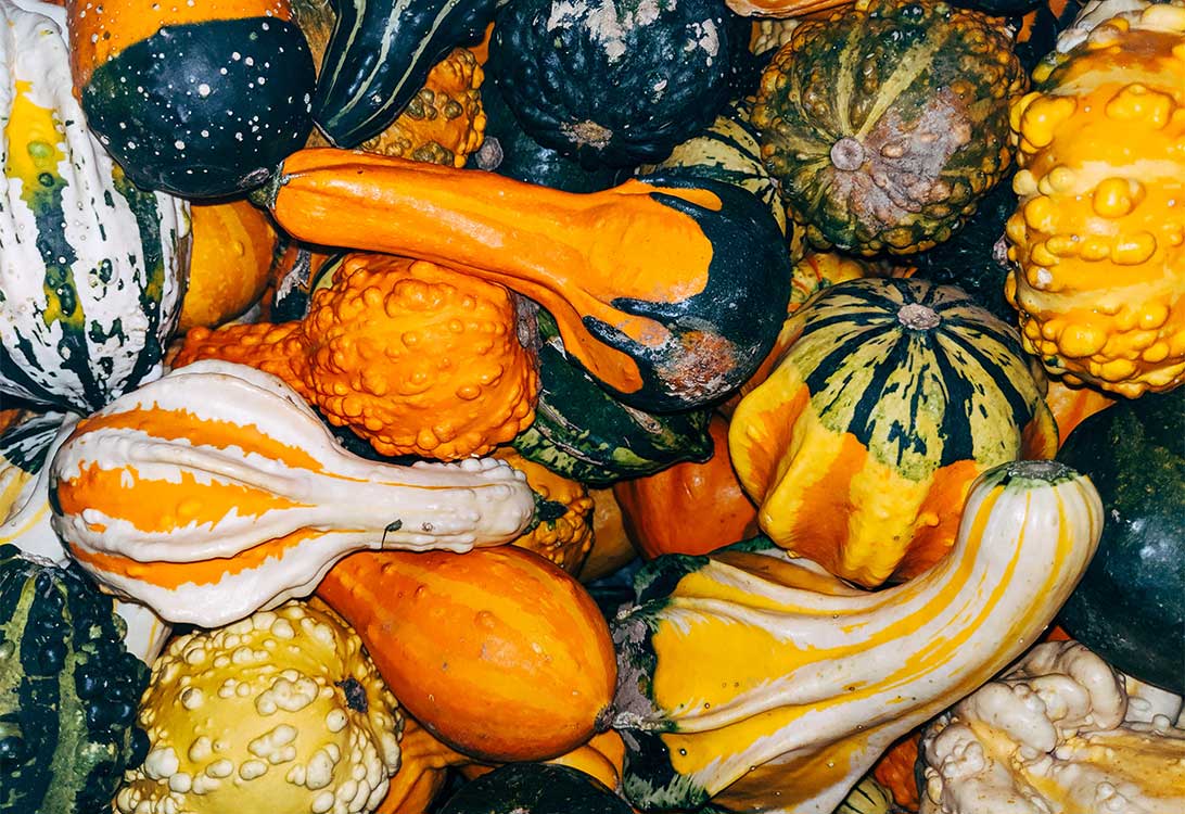 squash
