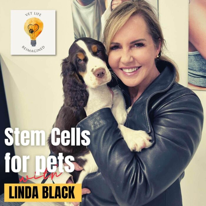 Vet Life Reimagined