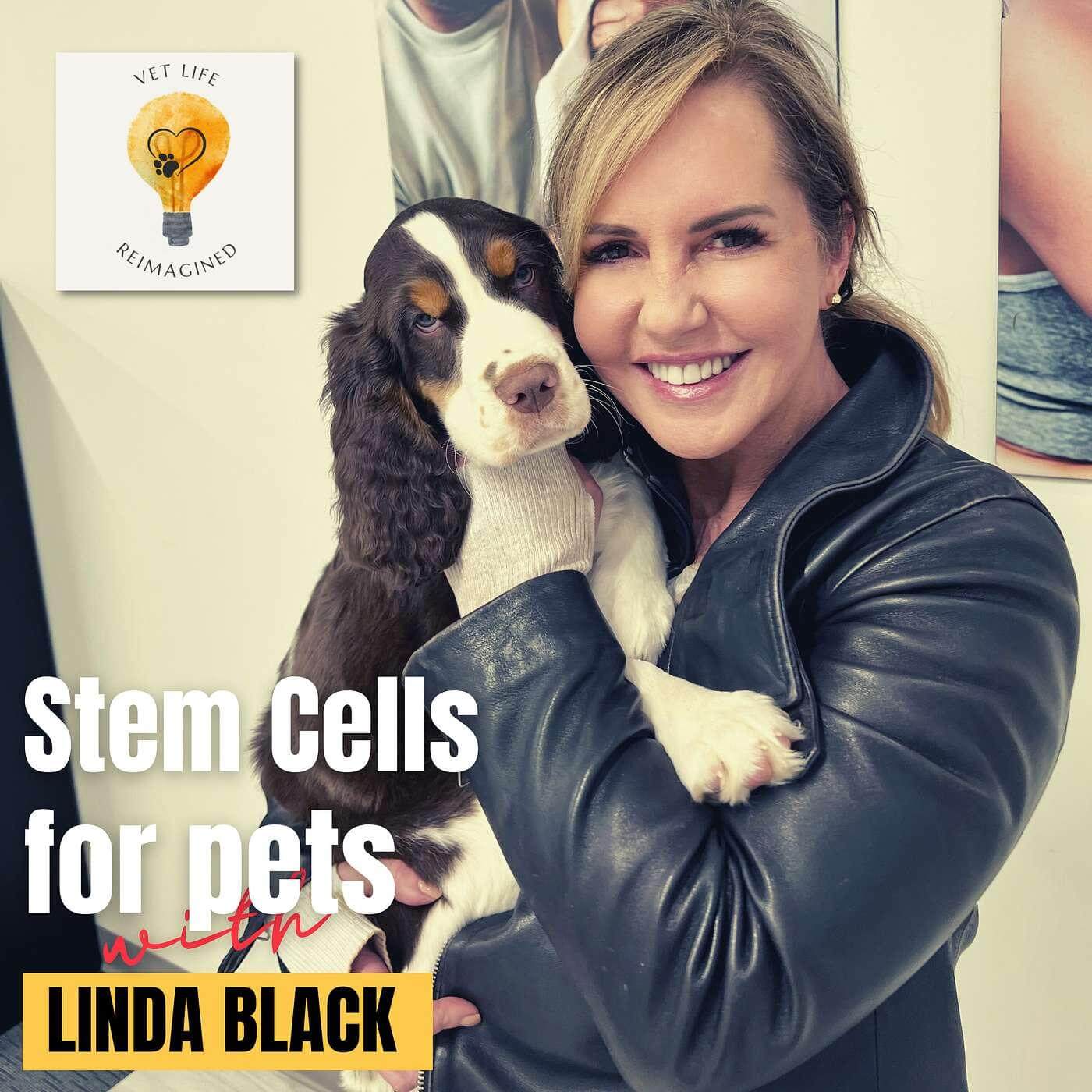 Vet Life Reimagined