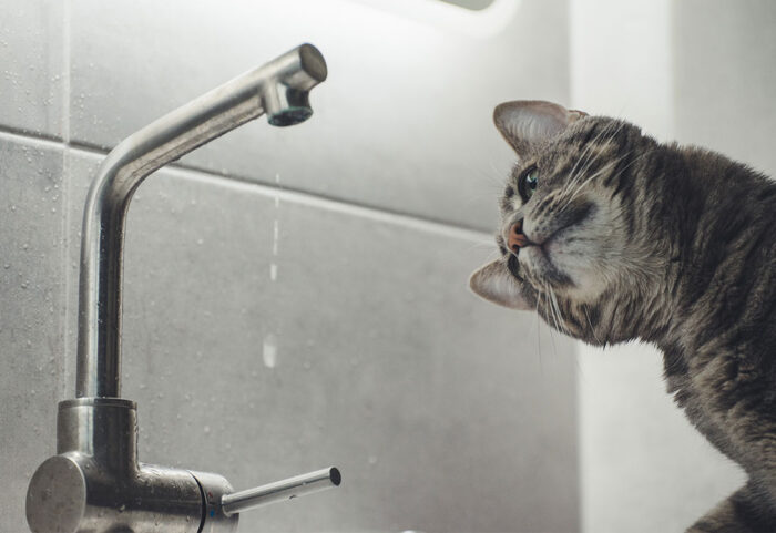 Water