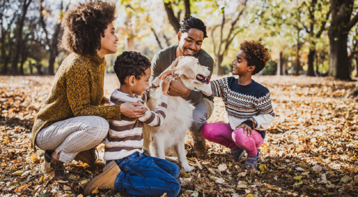 best-dog-breeds-for-family