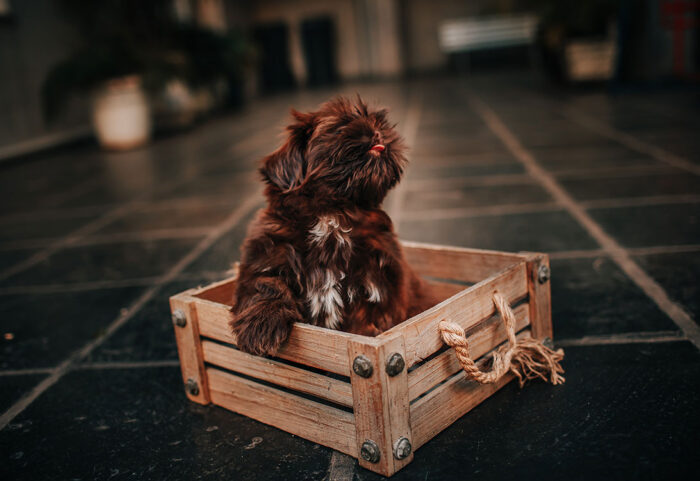 crate