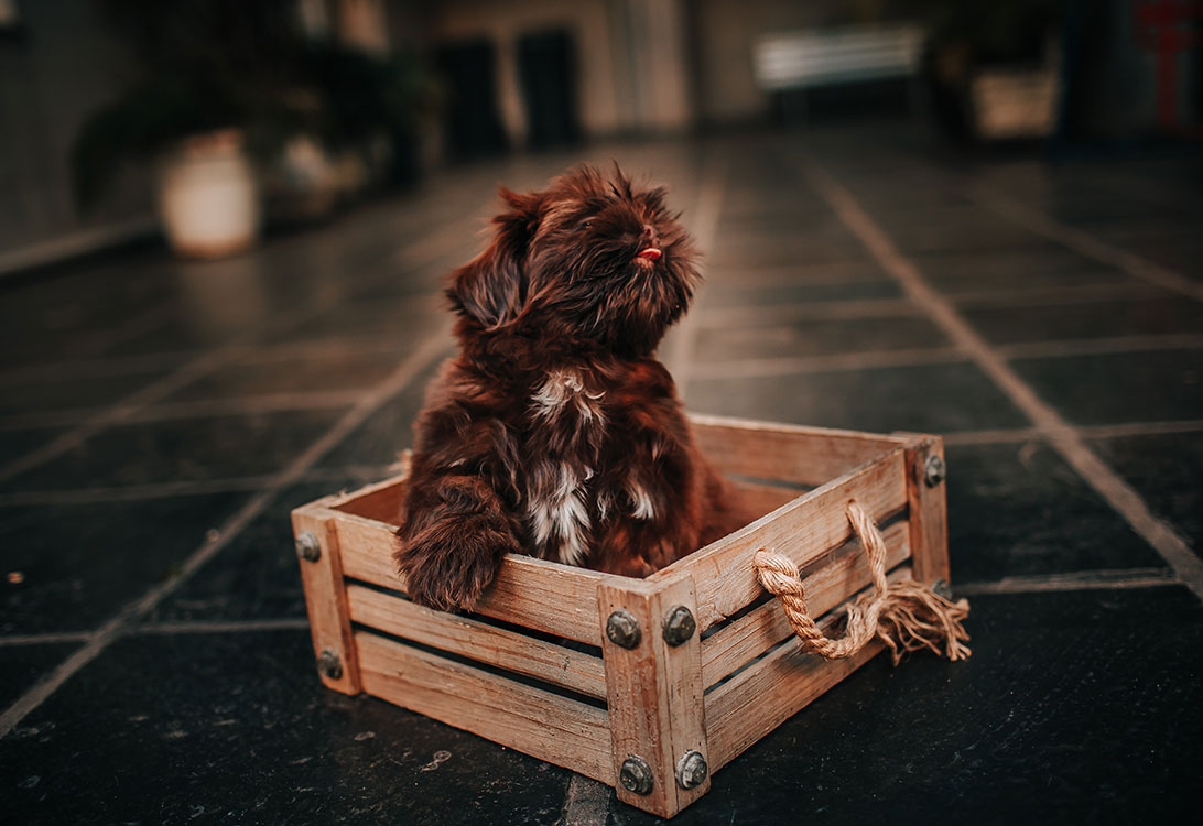 crate