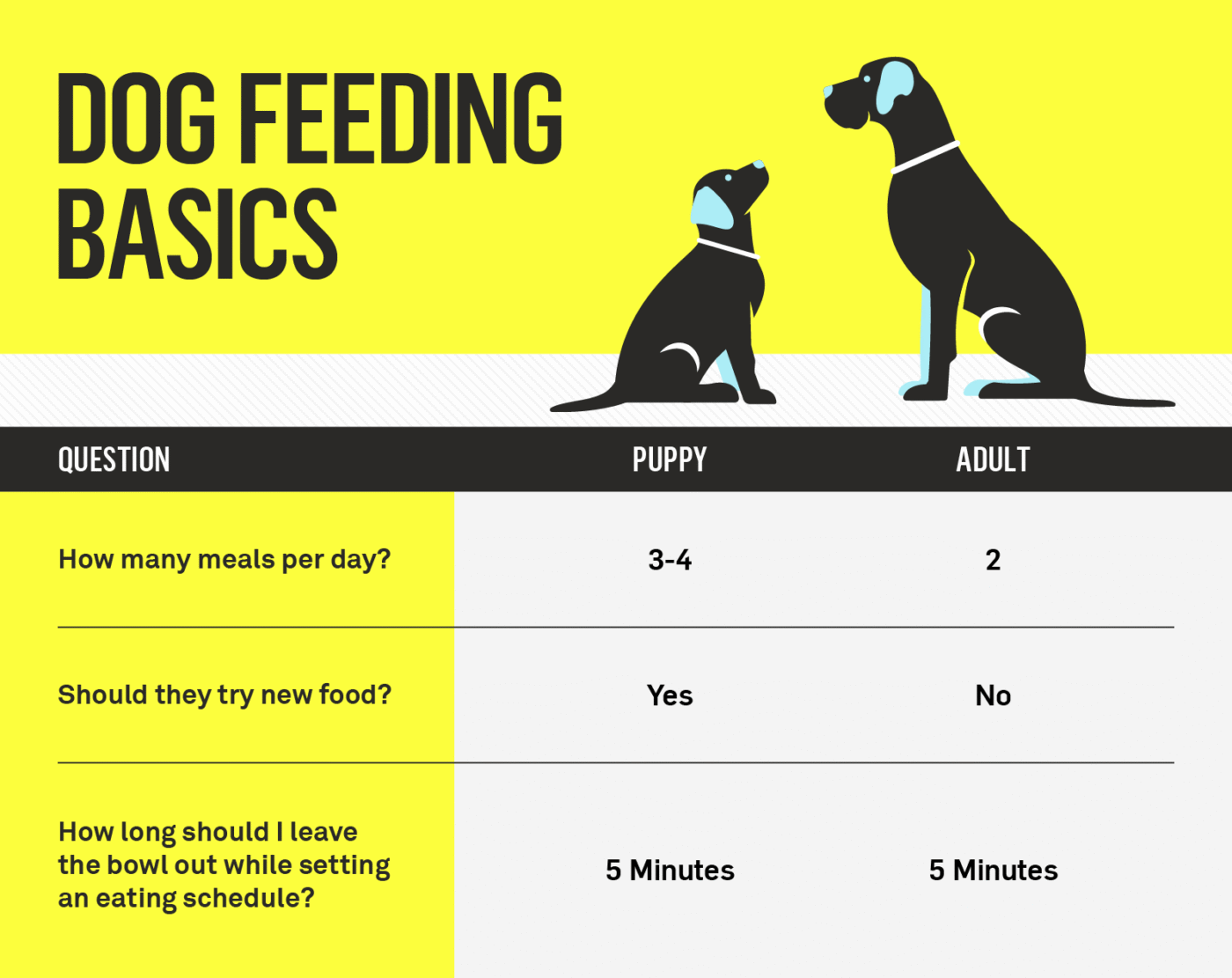 how long do puppies need 3 meals a day