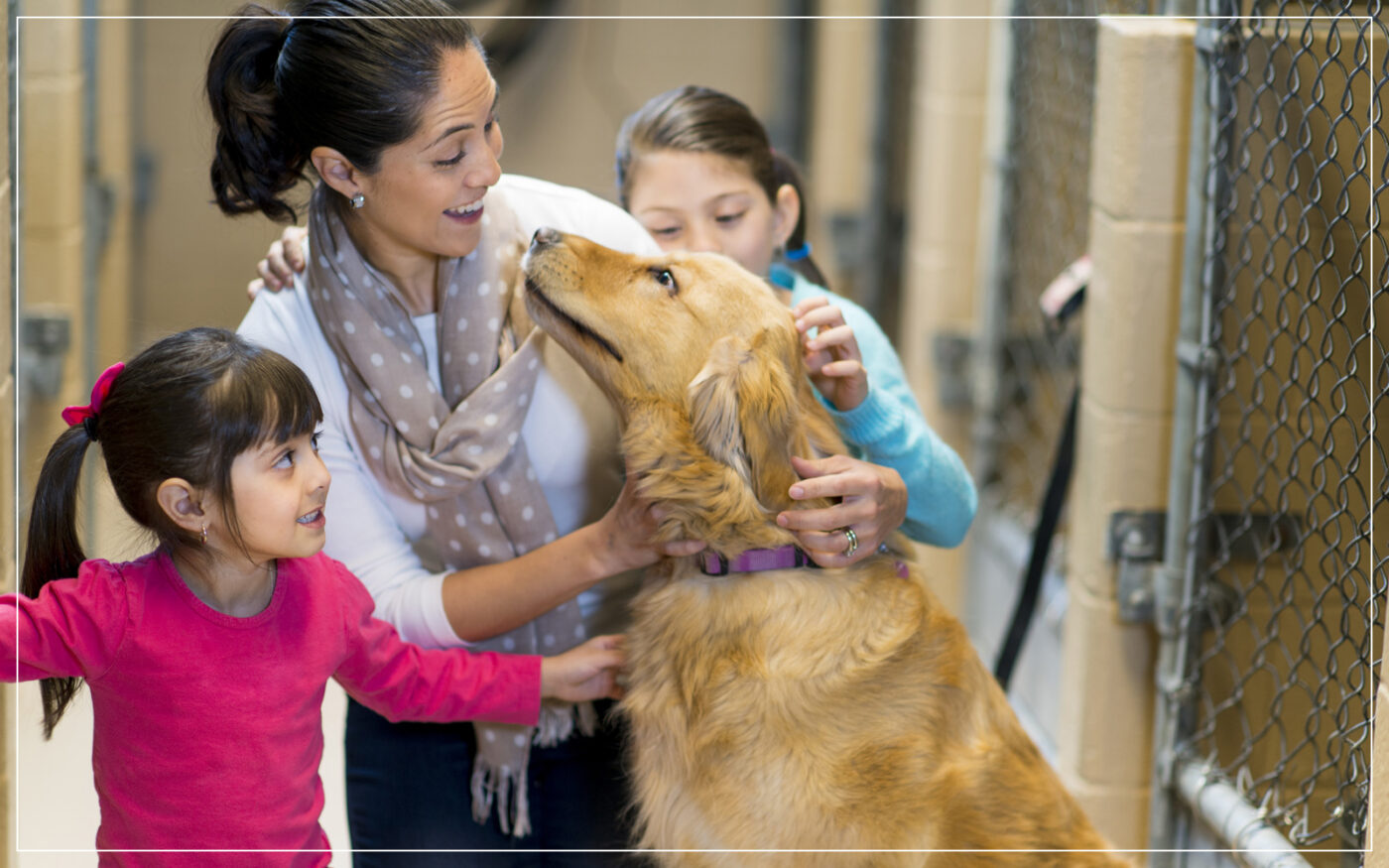 dog-getting-adopted-by-family