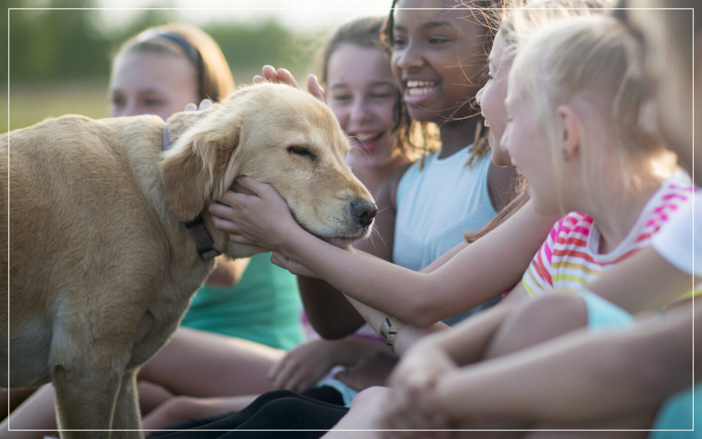 family-petting-dog
