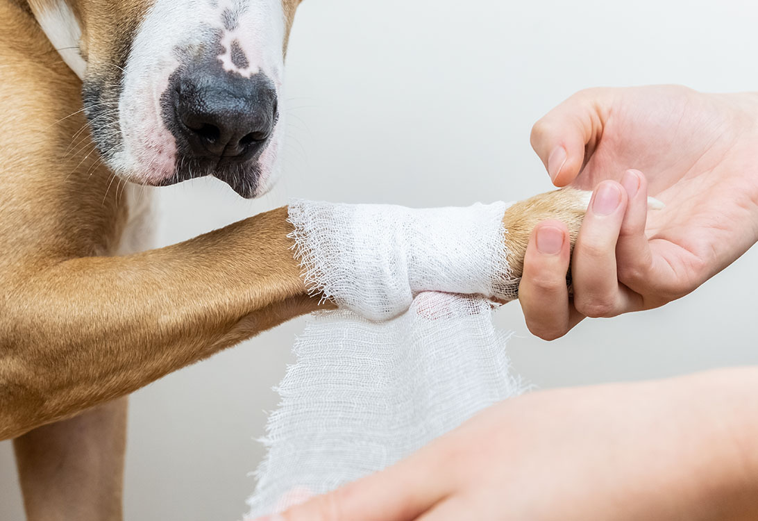 first-aid-preparedness