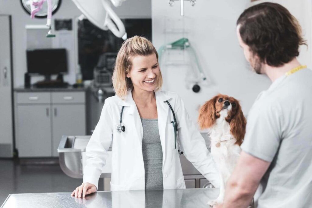 owner with dog talking with vet