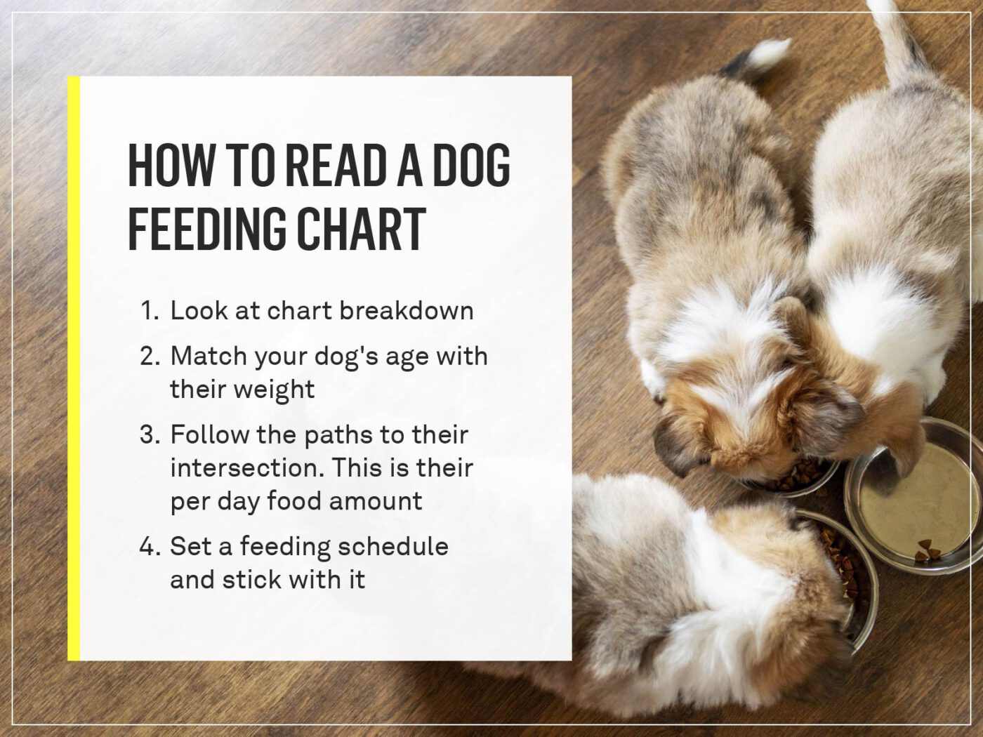 how to read chart