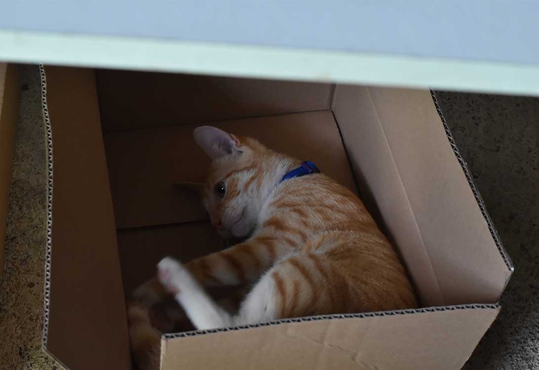 box