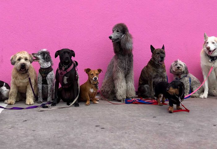 daycare