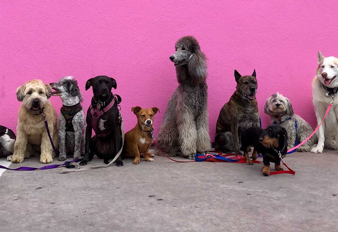 daycare