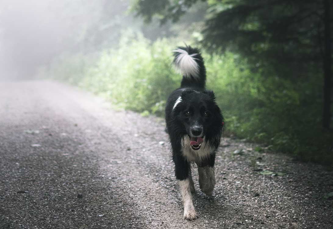 hike