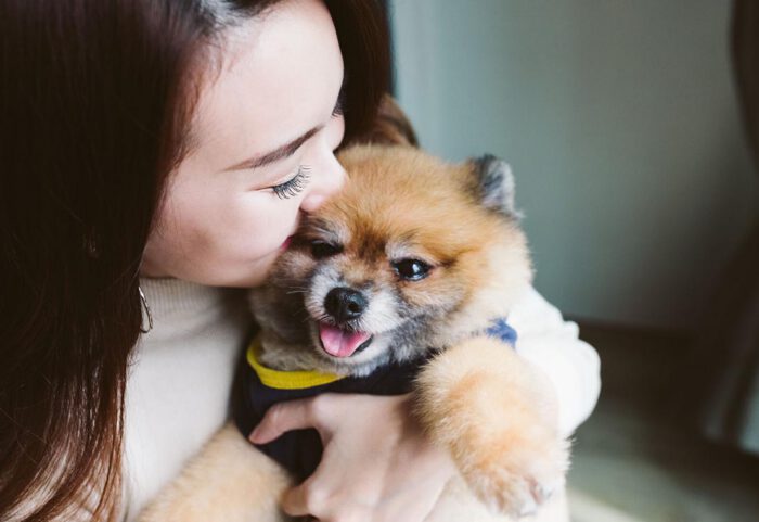 ultimate-puppy-checklist