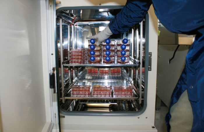 Stem Cells in refrigirator
