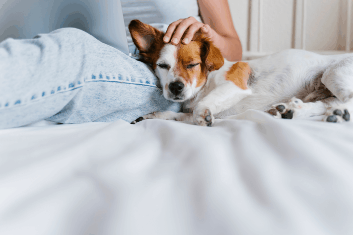 women pets a dog